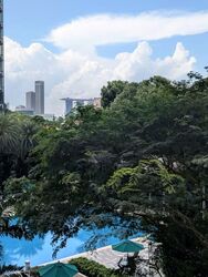 Cairnhill Crest (D9), Condominium #586144311